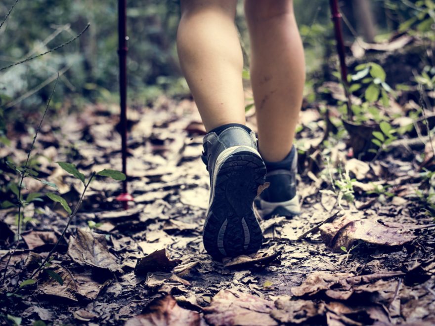 Trekking in a forest Trekking & Scarponi